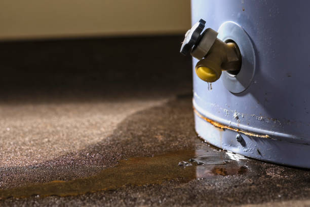 Best Local water damage restoration  in Spring Valley, MN