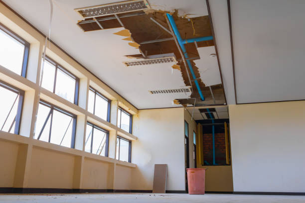 Best Commercial water damage restoration  in Spring Valley, MN