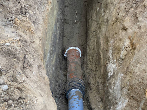 Best Emergency water extraction  in Spring Valley, MN