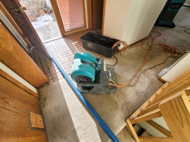  Spring Valley, MN Water damage restoration Pros