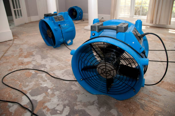 Best Commercial water damage restoration  in Spring Valley, MN
