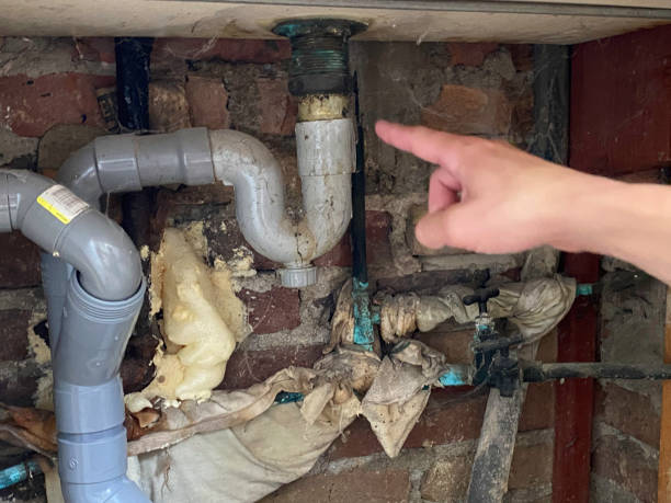 Best Water damage restoration mold remediation  in Spring Valley, MN