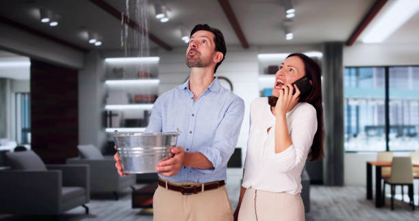 Best Water damage contractors near me  in Spring Valley, MN